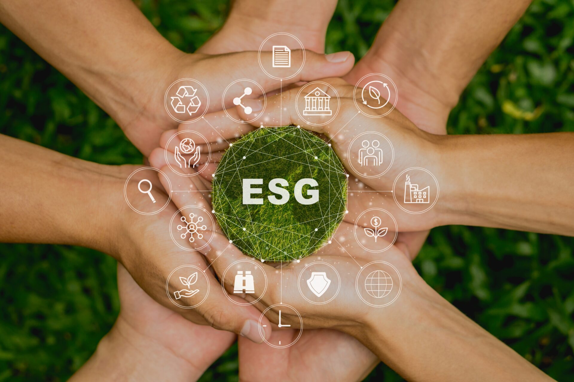 Infocus International Launches 6-Session ESG and Sustainability Online Course Starting 7 July 2026