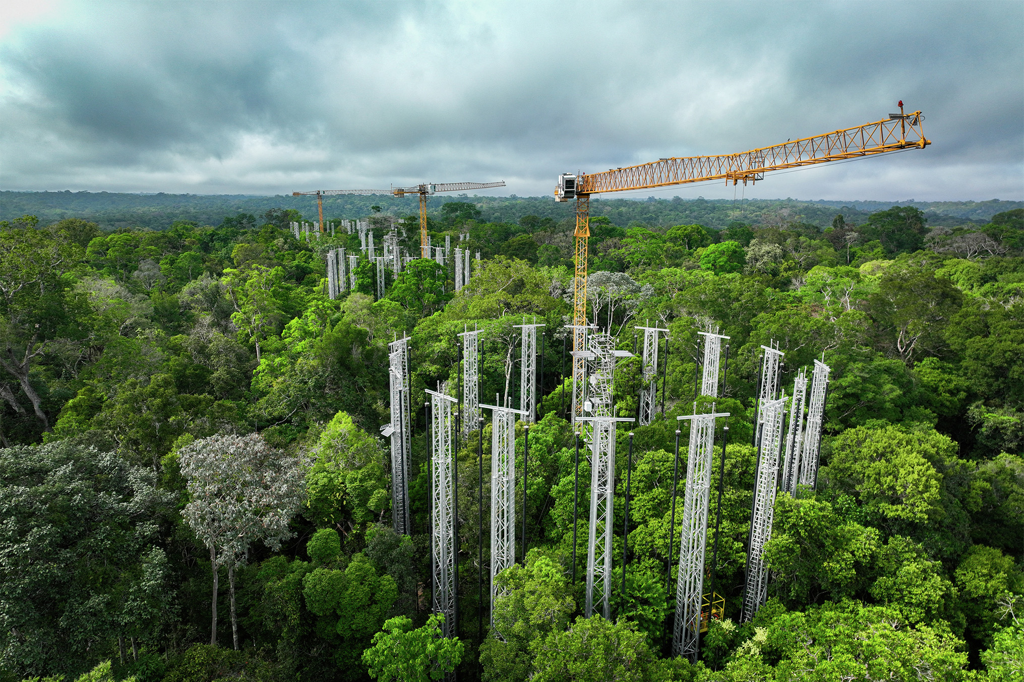 [Job Story] Liebherr Tower Cranes Take Climate Research Above the Amazon Canopy