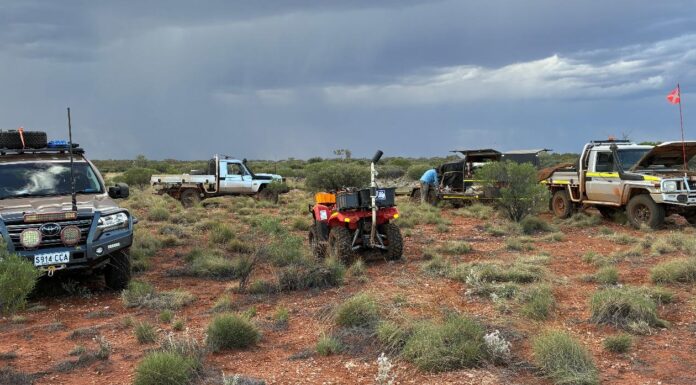 Hawk Resources field crew and vehicles during soil sampling at the Olympus scandium project (Image: Hawk Resources)